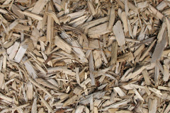 biomass boilers Twynyrodyn